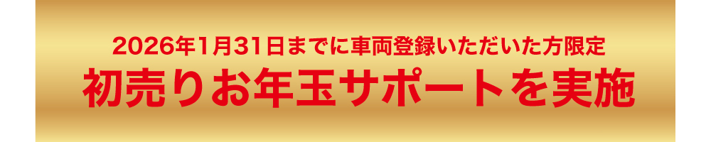 お年玉サポート実施中